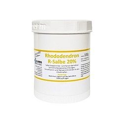 Rhododendron R-Salbe 20% - 100 g (Sehnenscheidenentzünd. & Fersensporn)